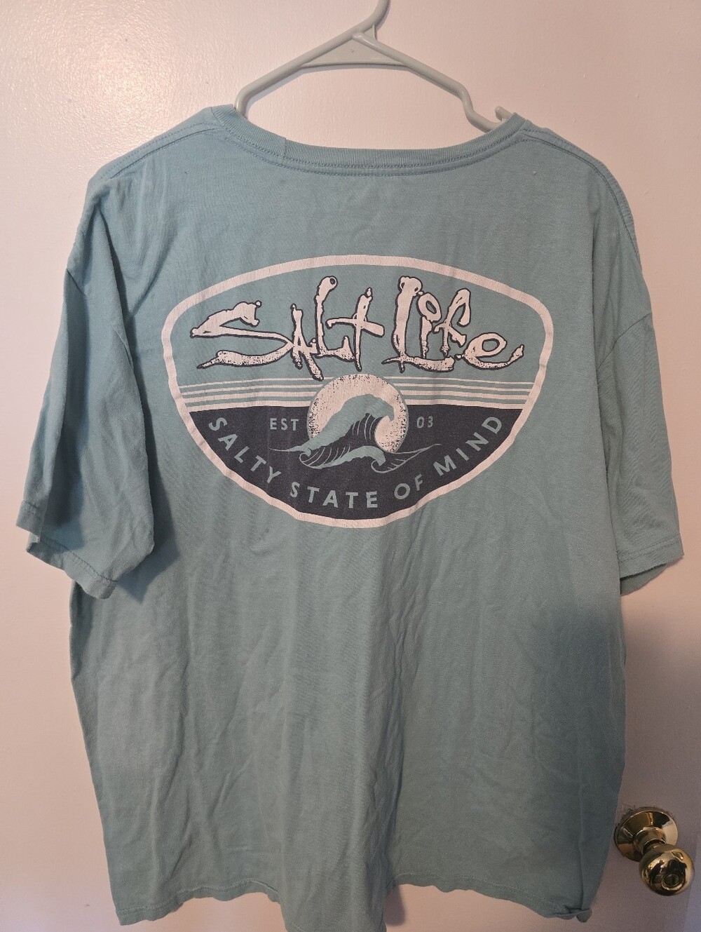 Salt Life Men's Short Sleeve Tee in Teal with White and Navy Graphic
